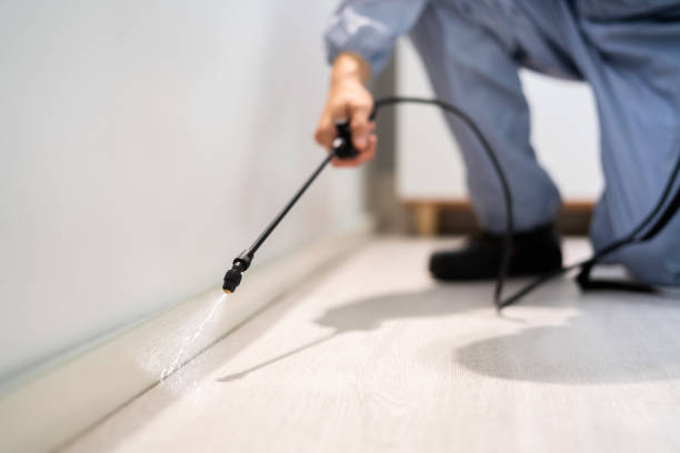 Licensed Mosquito Control service in Alderson, WV - Show Me Pest Control