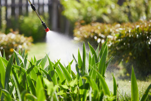 24/7 Emergency Mosquito Control experts in Alderson, WV