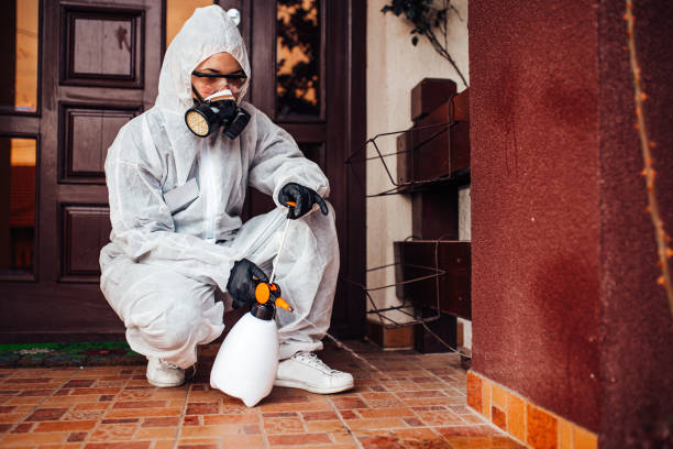Reliable Mosquito Control contractor in Alderson, WV by Show Me Pest Control